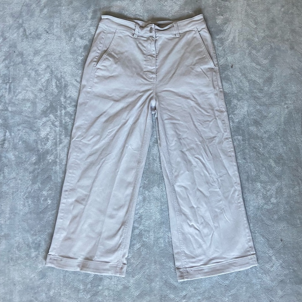 Everlane Cropped Straight Wide Pants